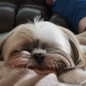 Meet your Posher, Lori